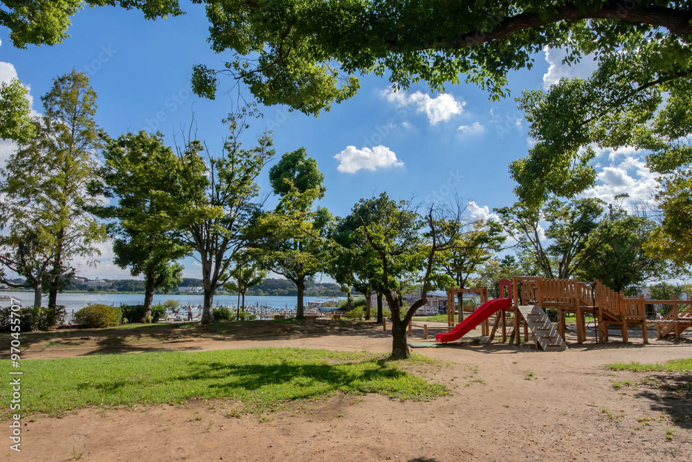 Fototapeta premium 千葉県の四市にまたがる手賀沼