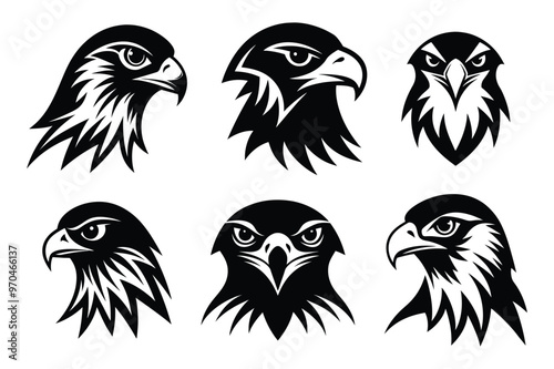 A Ferruginous Hawk face Logo Silhouette Illustration logo design template black and white photo