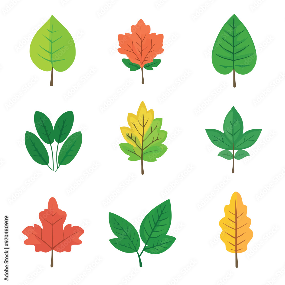 Obraz premium Set of green leaves, isolated on a white color background