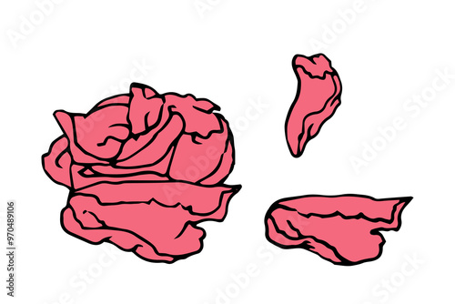 pieces of pickled ginger in doodle style, for educational, package, menu, recipe, poster, banner, package design