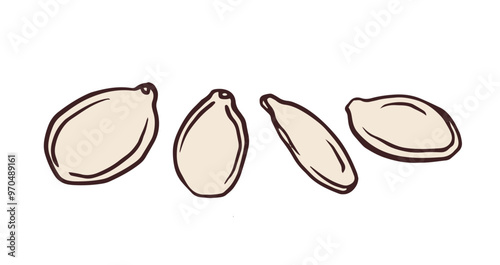 Pumpkin seeds linear design. Hand-drawn sketch of pumpkin seeds with text. Ideal graphic element for websites promoting healthy eating. Simple outline vector illustration isolated on white.