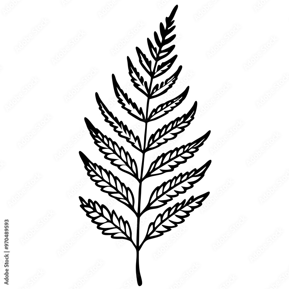 Naklejka premium fern leaves outline coloring book page line art drawing