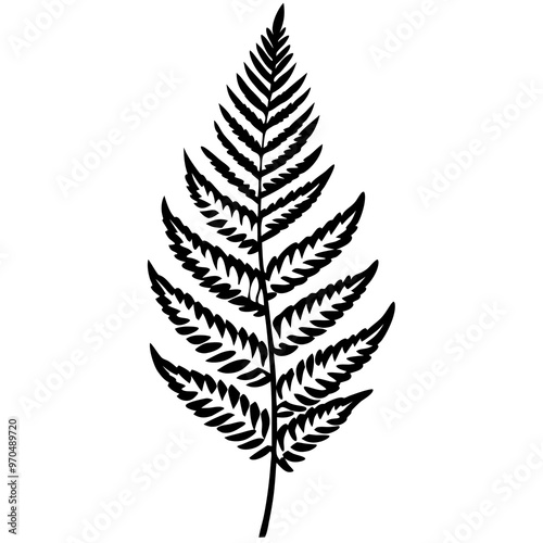 fern leaves outline coloring book page line art drawing