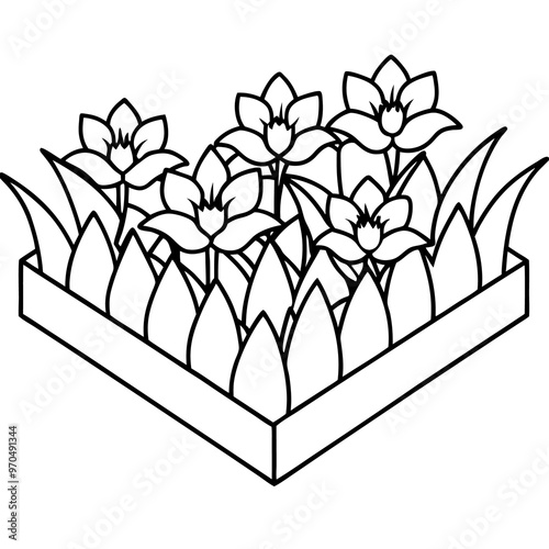 flowerbeds outline coloring book page line art drawing photo