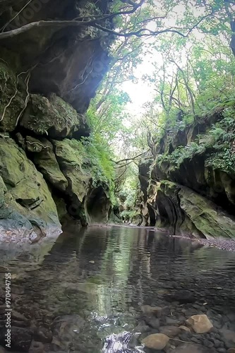 Beautiful chasm limestone rock valley carved by water through the rocks. River in the forest photo