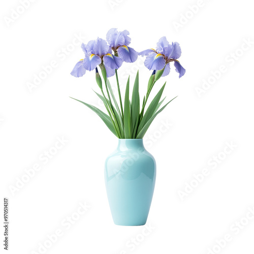 Blue Iris Flowers in a Light Blue Vase