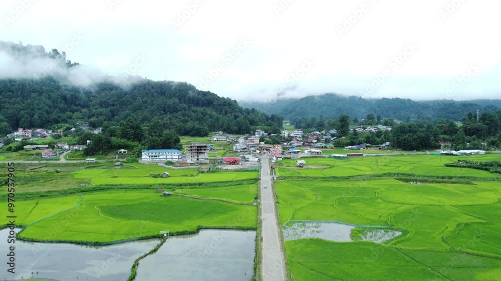 Aerial view shot of paddy field in Arunachal Pradesh. Aerial view shot of paddy field in Arunachal Pradesh.