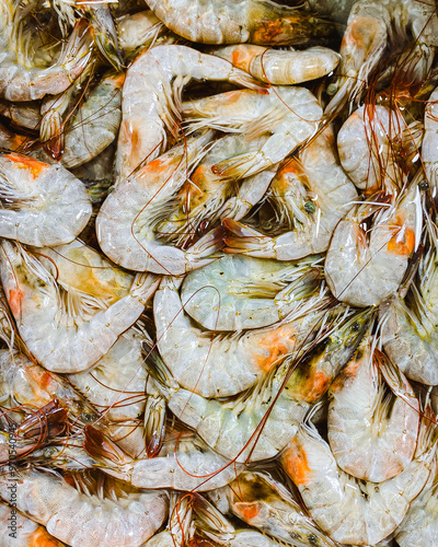 close up of fresh seafood