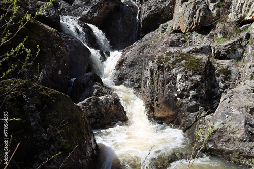 a turbulent spring stream makes its way between moss-covered rocks