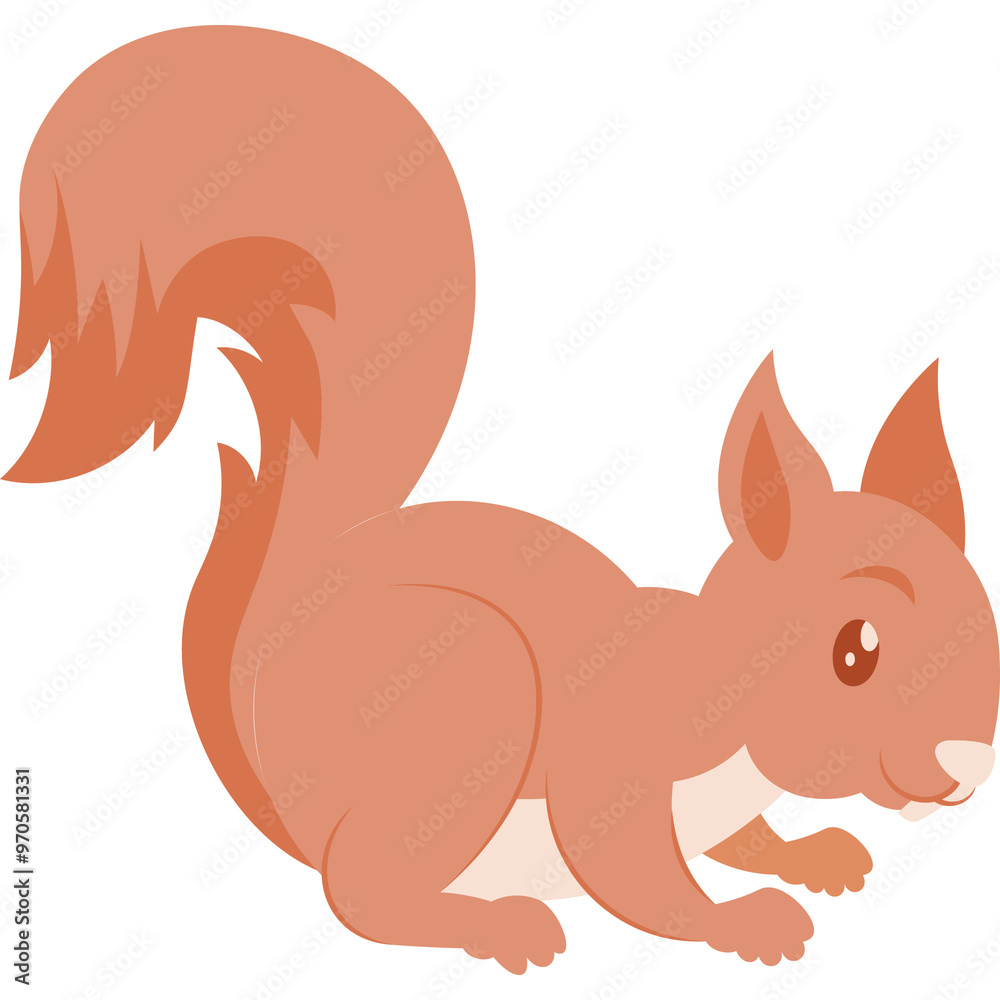 Fototapeta premium Squirrel Illustration