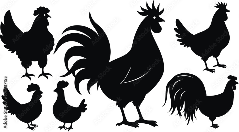 Fototapeta premium silhouettes of rooster and hens in various poses vector illustration silhouette, Print