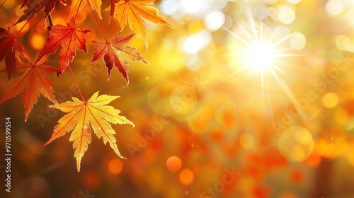 Golden Autumn Maple Leaves Illuminated by Sunlight, Creating a Warm Glow with Vibrant Colors of Orange, Red, and Yellow. Sunlight Filtering Through the Branches in a Scenic, Joyful Atmosphere Full of 