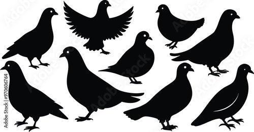silhouettes of pigeons in various poses vector illustration silhouette, Print