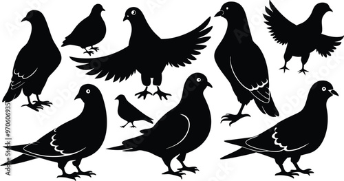 silhouettes of pigeons in various poses vector illustration silhouette, Print