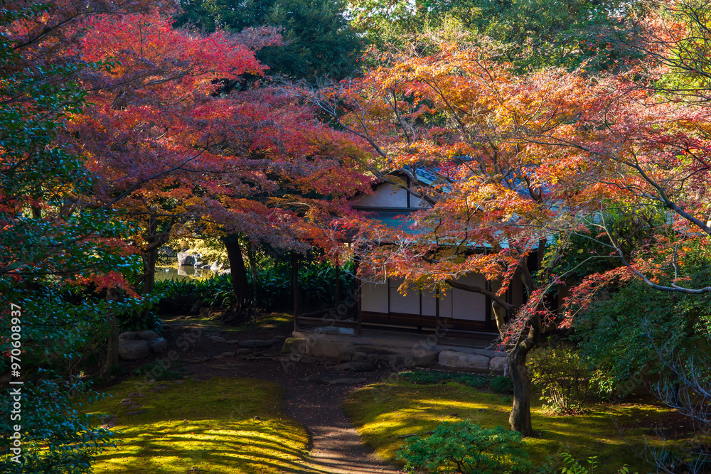 Obraz premium 日本の風景・秋 東京都北区 紅葉の旧古河庭園