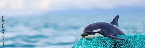 An orca entangled in a fishing net serves as a visual reminder of the issue of how human trash affects marine life. photo