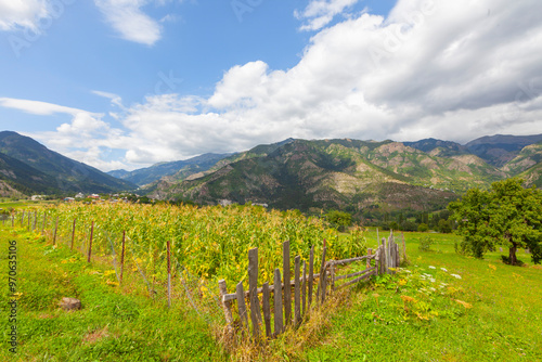 Butterfly Valley is located within the borders of Yusufeli district of Artvin province. photo