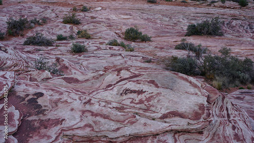 Calico Basin on Red Rock Canyon has amazing red color rock views and incredible hiking trails