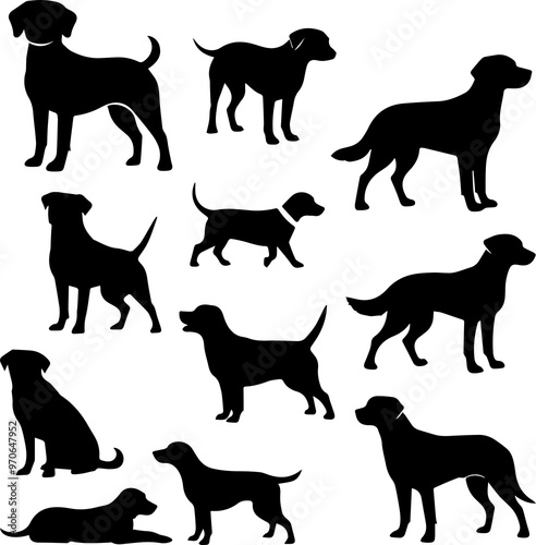 silhouettes of dogs