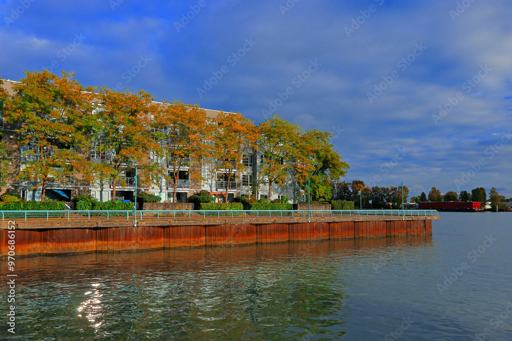 Obraz premium Apartment building and promenade with green bushes and autumn colored trees on the Fraser River waterfront on the background of beautiful sky in Vancouver City