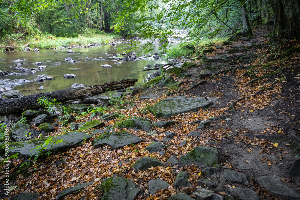 Fototapeta premium Path along stony river at junction of summer and autumn