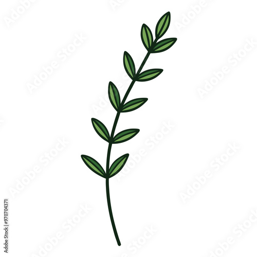 Thyme leaf clip art, vector illustration on white background