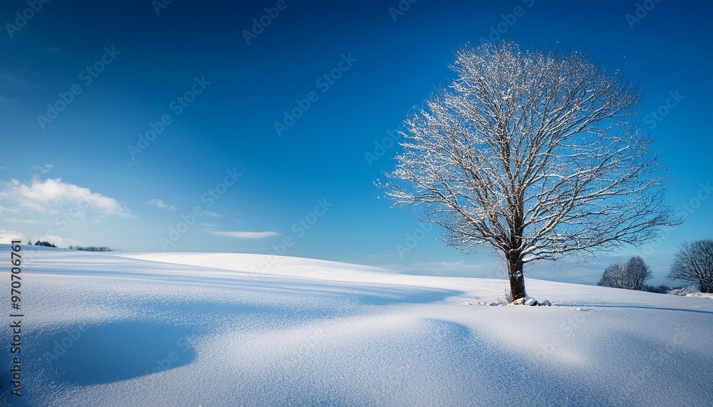 Obraz premium Snow-covered countryside with a single, leafless tree.