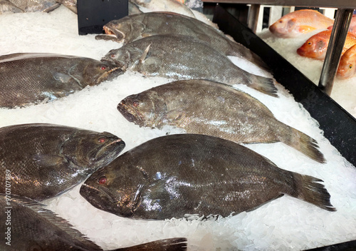 Sea fish Indian turbot, Flounder, Queensland halibut, Big mouth flounder with in an ice tray on a stall for sell in the fresh food zone of the supermarket at Thailand. photo