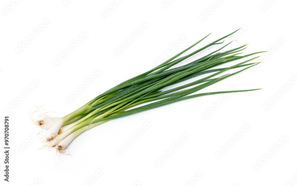 Thai Spring Onion or Green Shallot isolated on white background. Thai Spring Onion or Green Shallot isolated on white background.