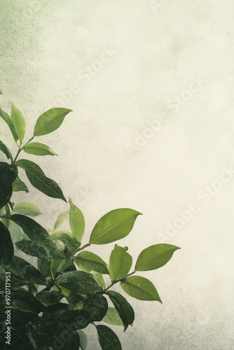 Marketing Poster Design in Diffuse Style with Ultra-High Resolution Featuring Refreshing Green Leaves with Rough Texture and Hazy Beauty, with Ample Space Reserved for Text photo