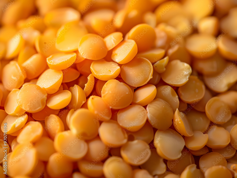 Red Split Lentils Photo - Red Lentil Texture Red Split Lentils Photo - Red Lentil Texture