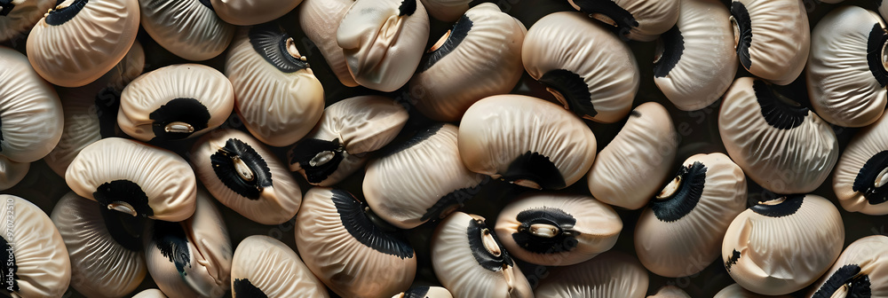 Black-Eyed Peas Photo - Black Eye, Beans Black-Eyed Peas Photo - Black Eye, Beans