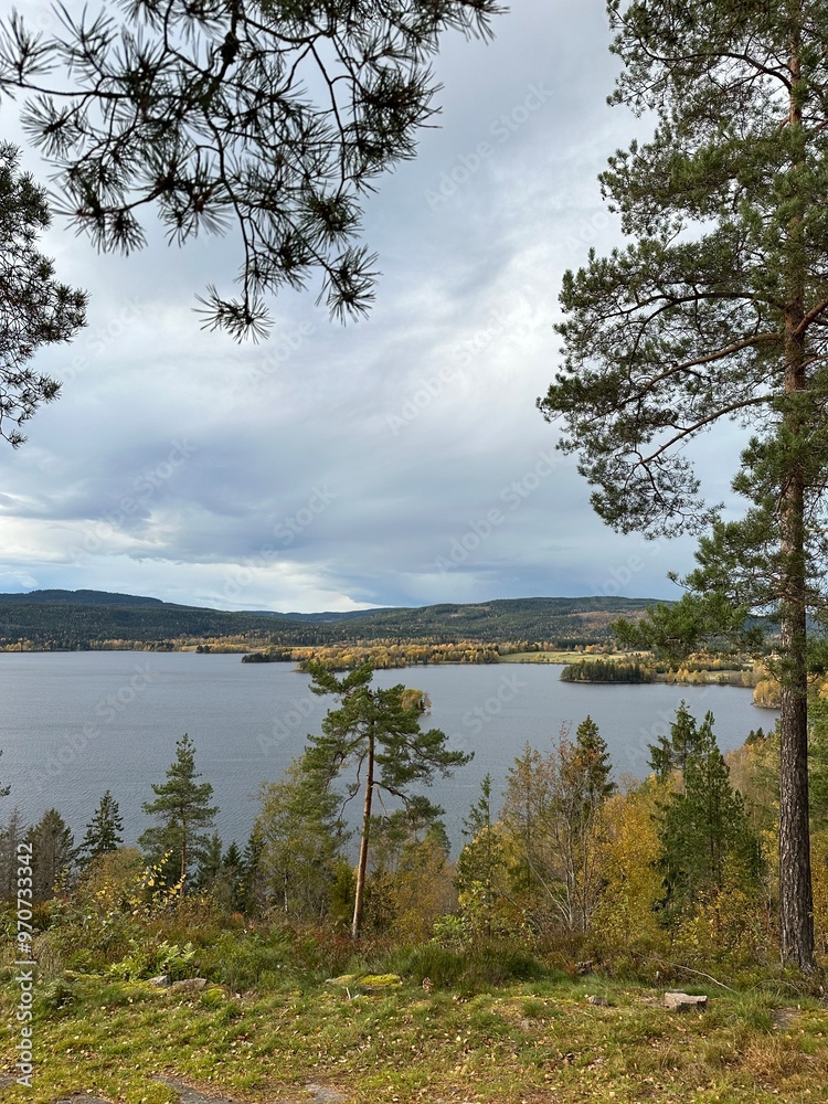 Obraz premium lake and forest