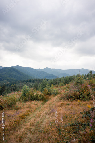 A winding path through the mountains