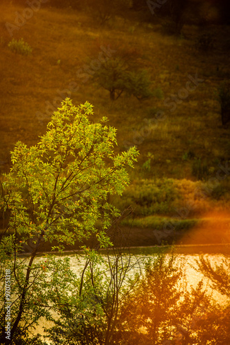 Wallpaper Mural Landscape in the mountains at autumn morning , beautiful orange trees with beauty colors of the autumn . Sunlights through the trees , field on the hills . Golden colors in forest . Sunrise over trees Torontodigital.ca