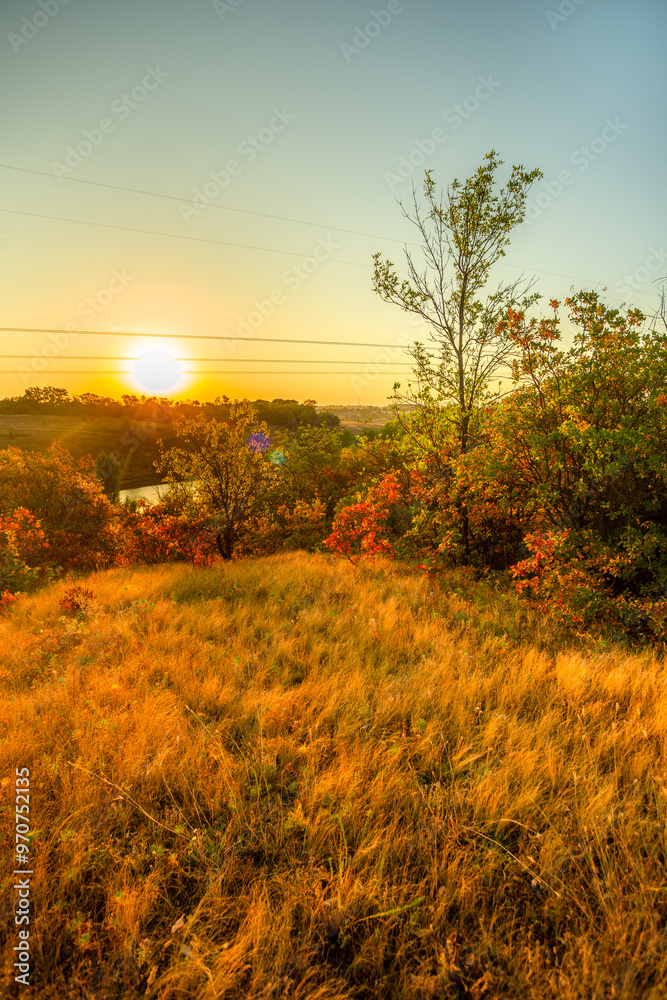 Obraz premium Landscape in the mountains at autumn morning , beautiful orange trees with beauty colors of the autumn . Sunlights through the trees , field on the hills . Golden colors in forest . Sunrise over trees
