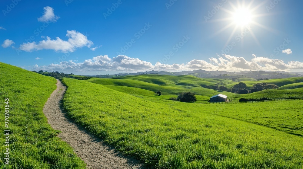 Obraz premium The Rolling Green Hillscape