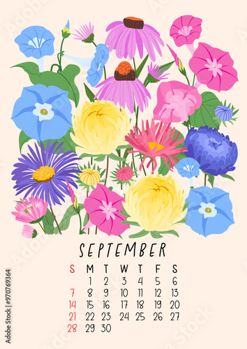 Vertical page calendar for September 2025 with cute autumn aster and morning glory, coneflower flowers and leaves. Week starts on Sunday. Vector illustration flat cartoon style