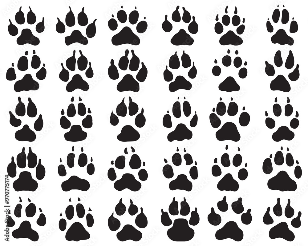 Fototapeta premium Black print of paw of dogs on a white background