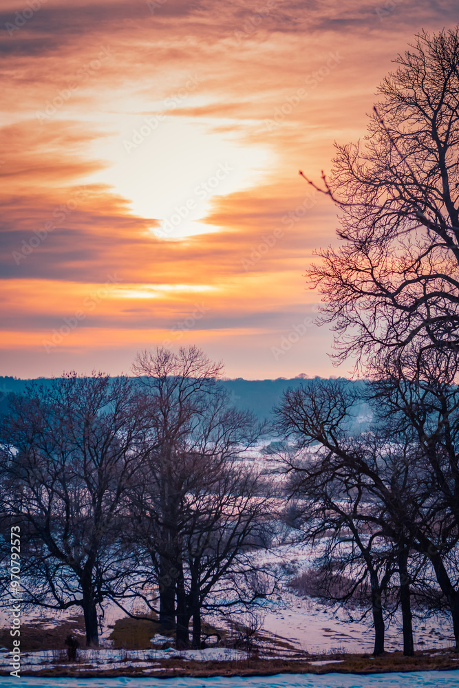 Sunset Over Snowy Landscape With Bare Trees in Winter Scenery. Sunset Over Snowy Landscape With Bare Trees in Winter Scenery.