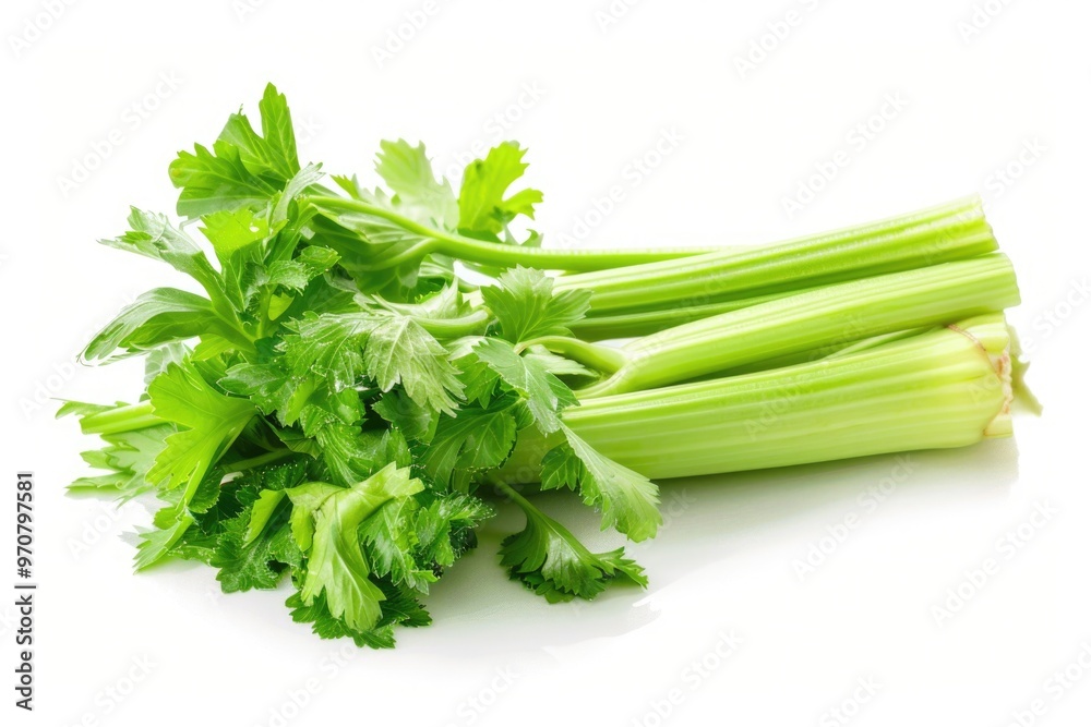 Fresh celery stalks arranged on a clean white surface, ideal for food photography or as a prop Fresh celery stalks arranged on a clean white surface, ideal for food photography or as a prop
