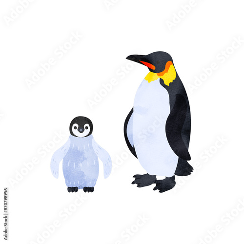 コウテイペンギン（エンペラーペンギン）の雛と成鳥。水彩風イラスト。 Emperor penguin chick and adult. Watercolor style illustration. photo