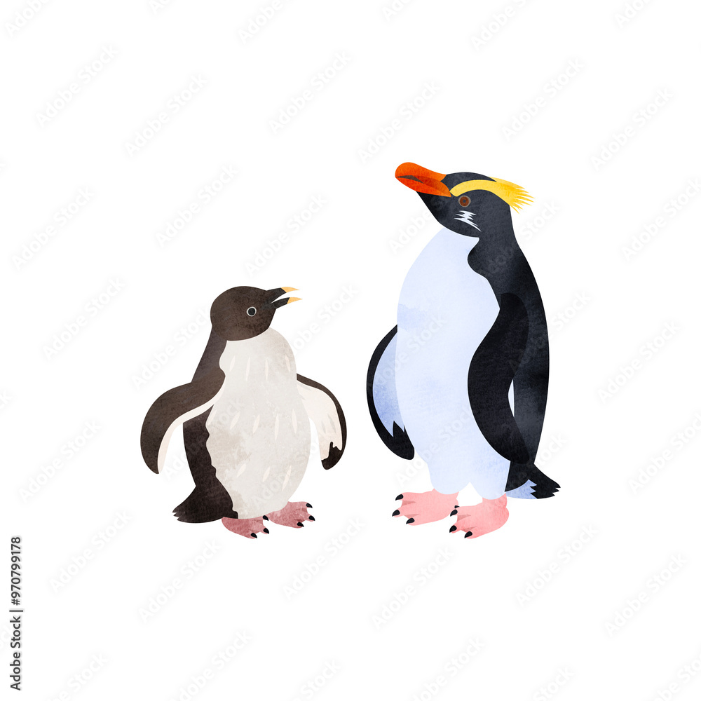 Obraz premium フィヨルドランドペンギン(キマユペンギン、ヴィクトリアペンギン)の雛と成鳥。水彩風イラスト。 Fiordland penguin (Fiordland crested penguin) chick and adult. Watercolor style illustration.