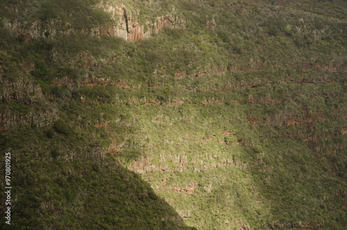 Slope of the Liria ravine. Hermigua. La Gomera. Canary Islands. Spain. photo