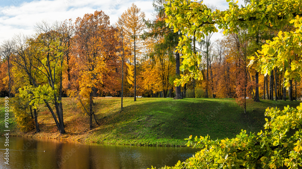 Fototapeta premium Beautiful sunny forest autumn landscape. Amazing park with lake