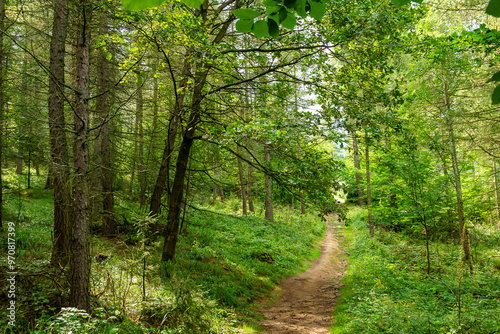 the main Sudetes trail leading to Sniezka photo