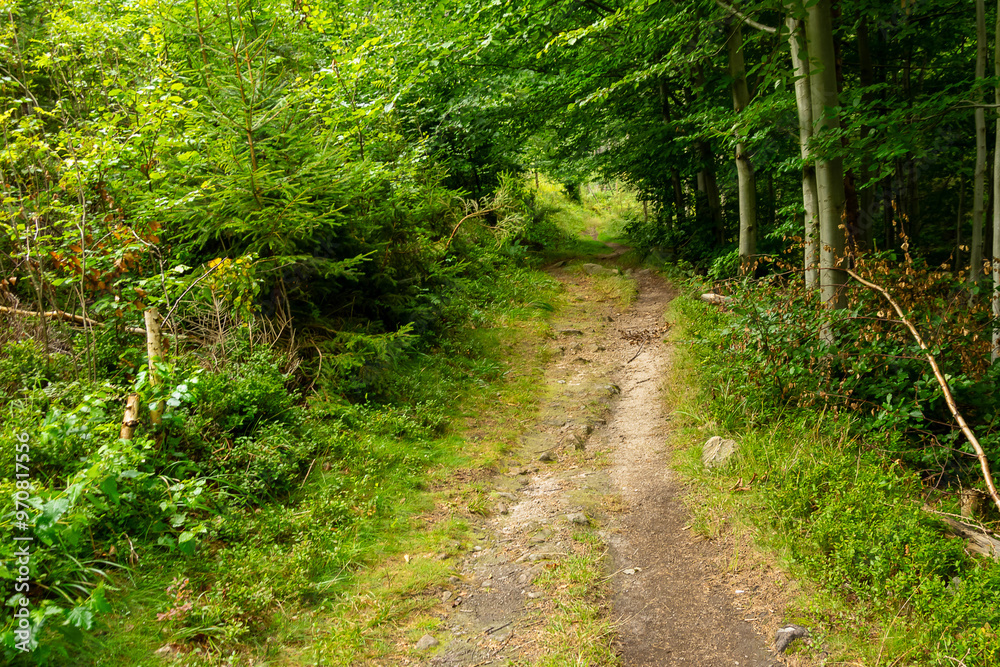 the main Sudetes trail leading to Sniezka the main Sudetes trail leading to Sniezka