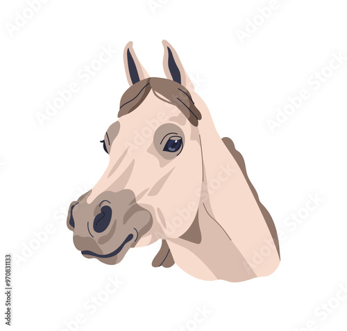 Arabian horse head, purebred stallion of Arab breed. Elegant noble equine avatar, portrait. Beautiful graceful animal. Realistic flat graphic vector illustration isolated on white background