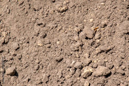 A close-up image showcasing brown soil with small stones, illuminated by sunlight