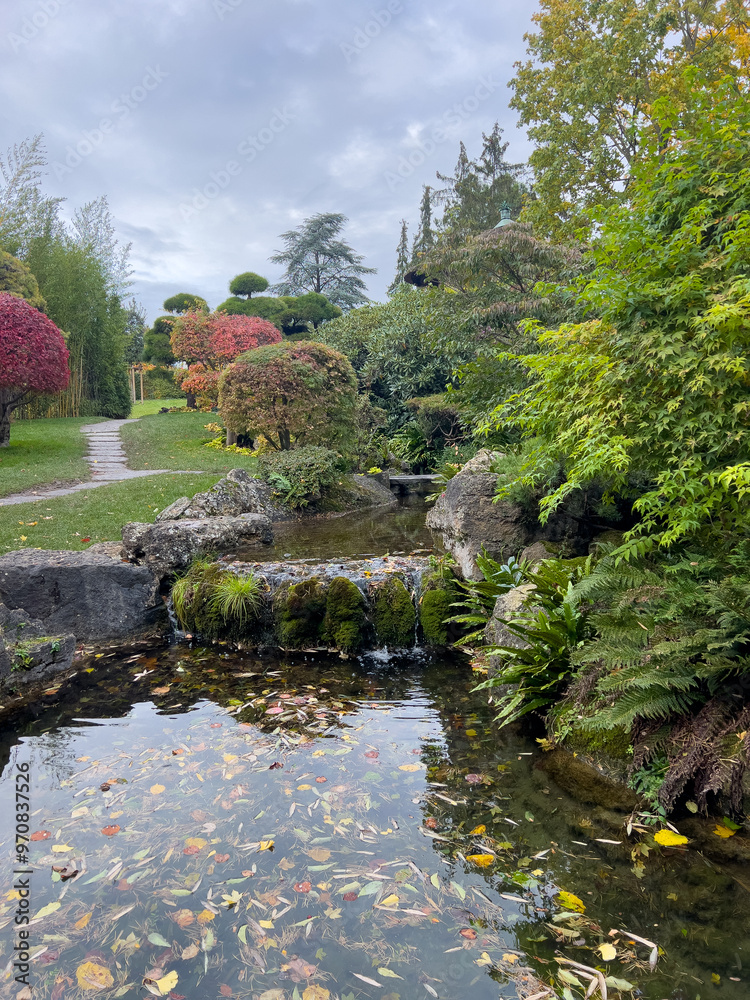 A peaceful Japanese garden scene featuring a cascading stream and still pond, surrounded by vibrant foliage in autumn colors A peaceful Japanese garden scene featuring a cascading stream and still pond, surrounded by vibrant foliage in autumn colors
